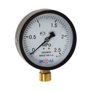Манометр 100х1/2'' 25 бар МД02 (нижн радиал подкл, корпус сталь, минстекло) ЭКОМЕРА